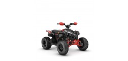 Renegade X XC 110 EFI