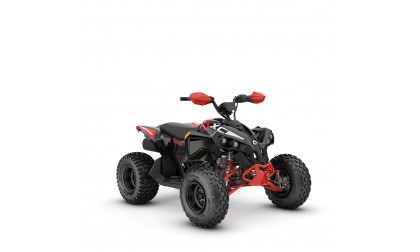 Renegade X XC 110 EFI